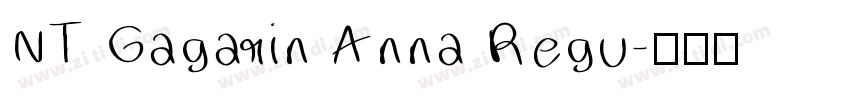 NT Gagarin Anna Regu字体转换
